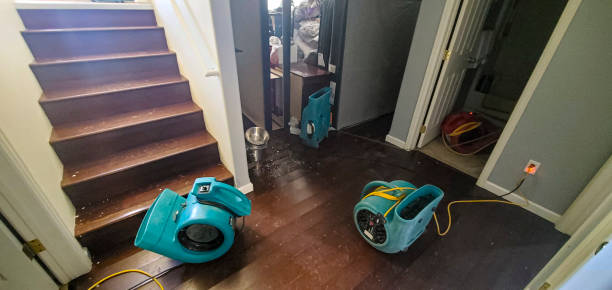 Best Water damage restoration specialists  in Los Molinos, CA