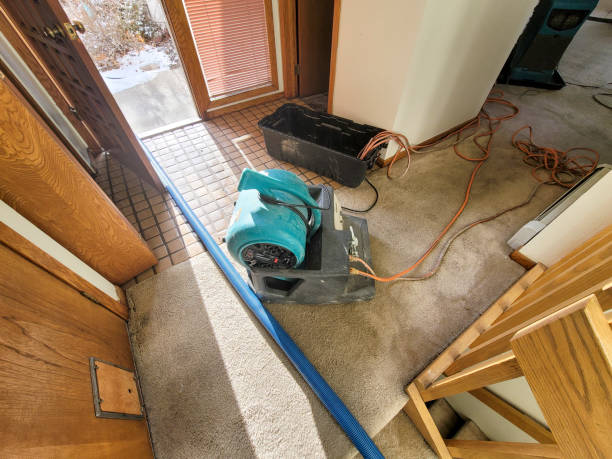 Best Mold removal after water damage  in Los Molinos, CA