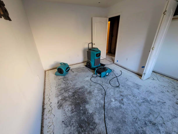 Best Water damage restoration near me  in Los Molinos, CA