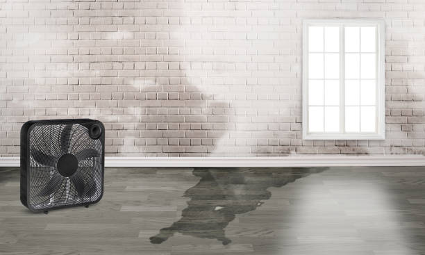 Best Sewage cleanup and water damage restoration  in Los Molinos, CA