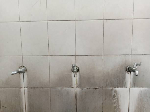 Best Water damage cleanup near me  in Los Molinos, CA