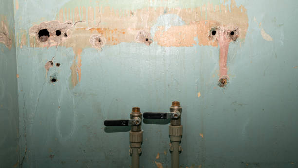 Best Water damage cleanup near me  in Los Molinos, CA