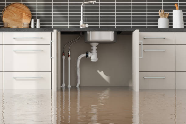 Best 24/7 water damage repair  in Los Molinos, CA